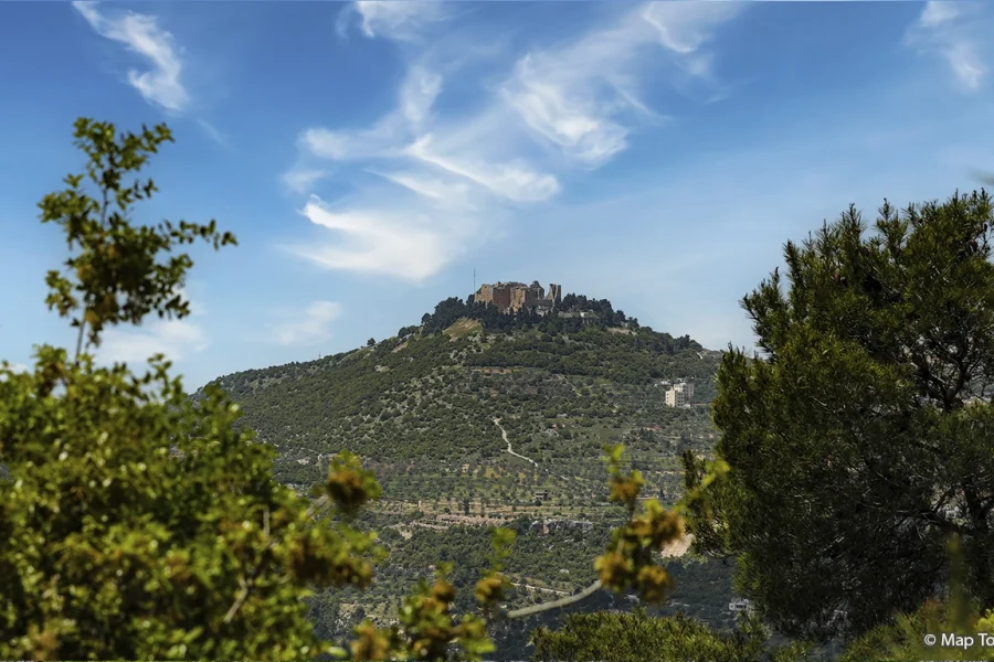 Amman Tour & Ajloun Tour | Day Tour (starting from $140)